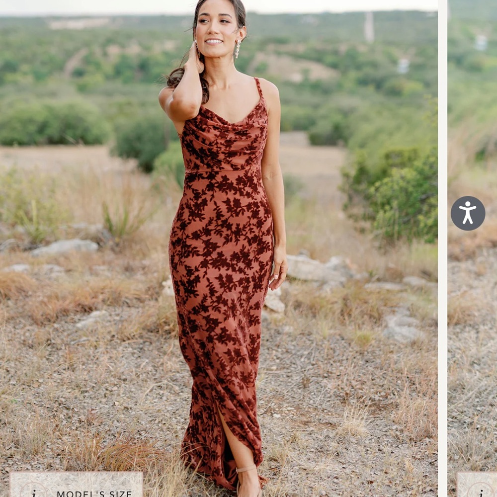 BRAND NEW / NEVER WORN Revelry Velvet Dress